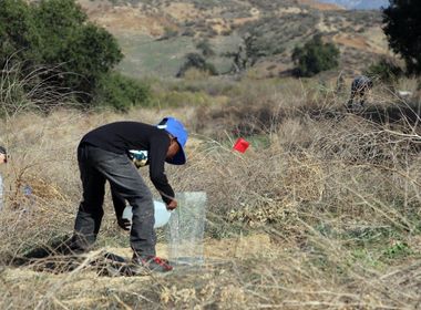 Nonprofit Holds Acorn Planting Event to Ensure Survival of Oak Trees