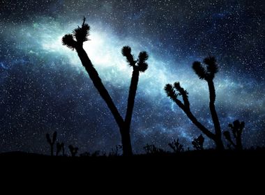 Students Receive Gift of the Night Sky