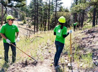 Recent Wildfires Stark Reminder of Importance of Restoration Efforts