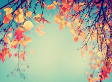 Energy Efficient Ways to Prepare Your Home for Fall Weather