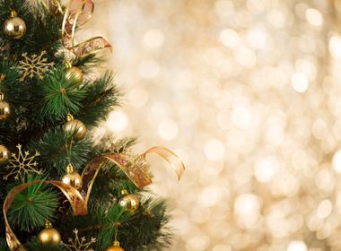 Deck the Halls Smartly, Safely