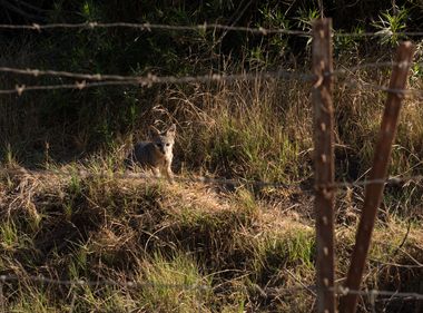 Crews Help Protect Environment While Setting Fire-Resistant Poles