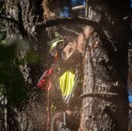 Vegetation Management-7651