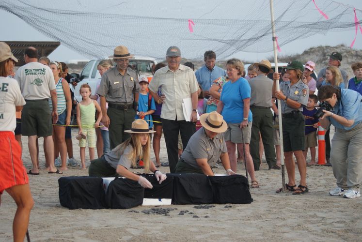 Turtle Release