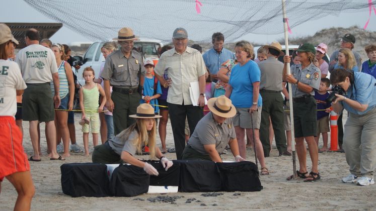 Turtle Release