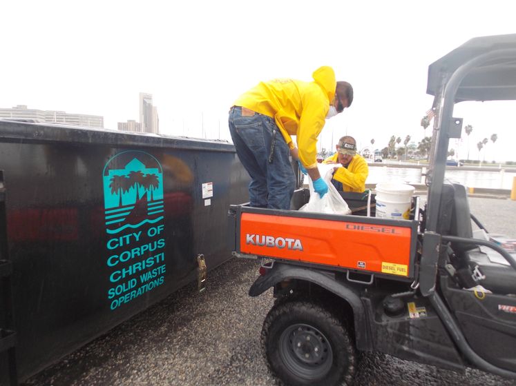 Red tide Clean Up