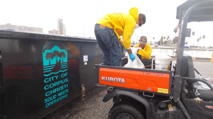 Red tide Clean Up