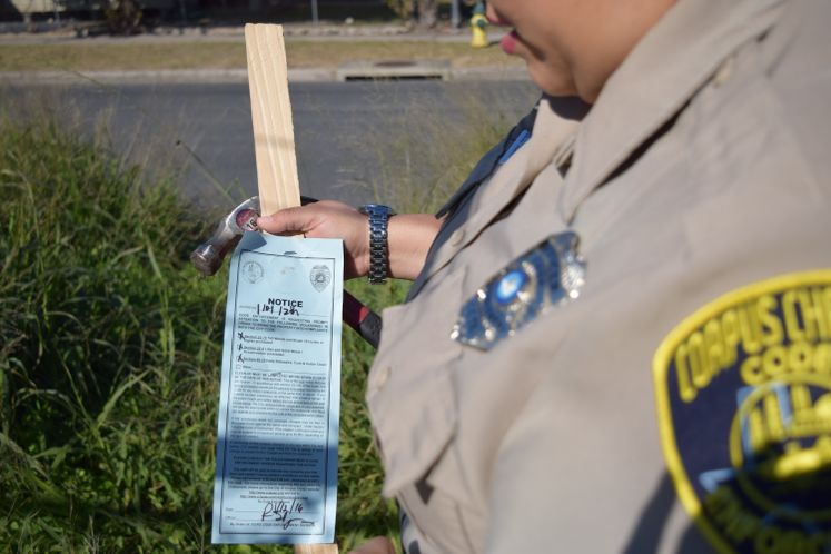 Notice of violation