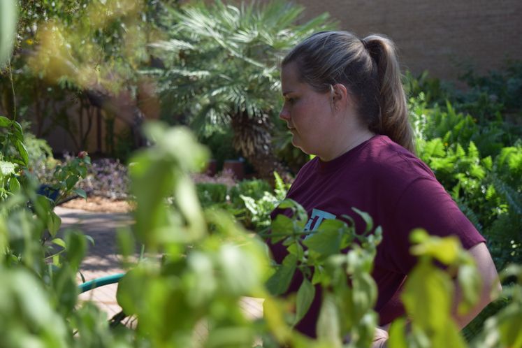 Xeriscape