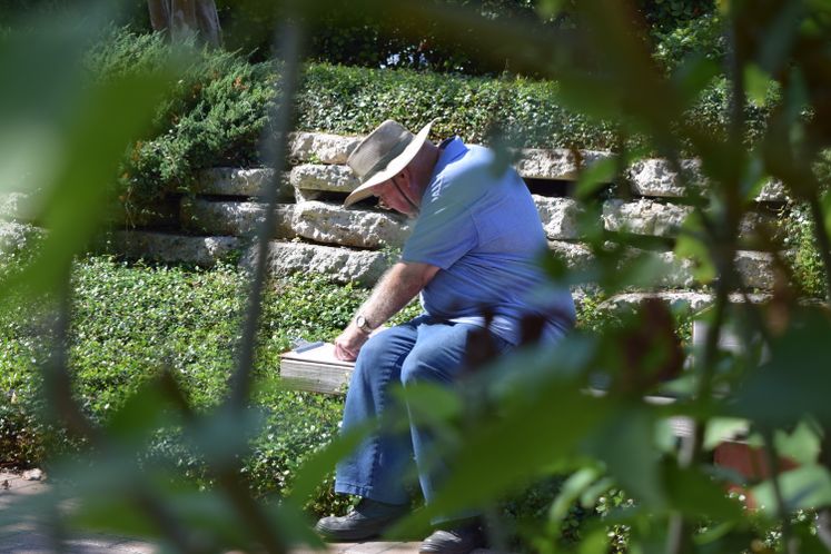 Xeriscape