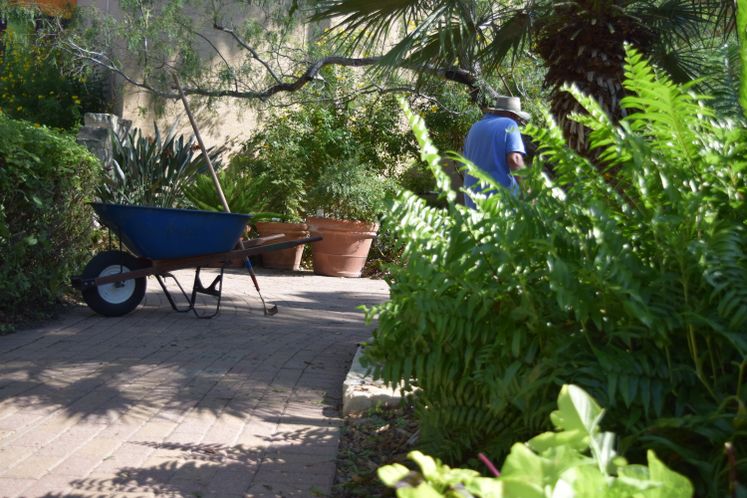 Xeriscape