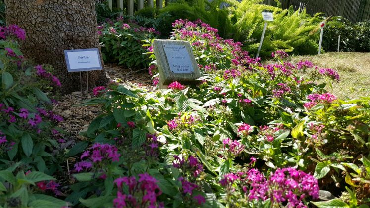 Xeriscape Garden