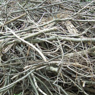 Solid Waste Operations Encourage Citizens to Set Out Brush During Scheduled Time Solid Waste Operations Encourage Citizens to Set Out Brush During Scheduled Time