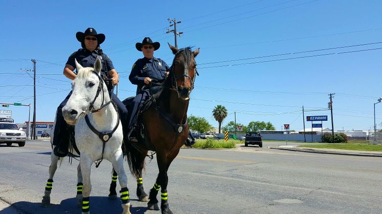 CCPD's Mounted Police