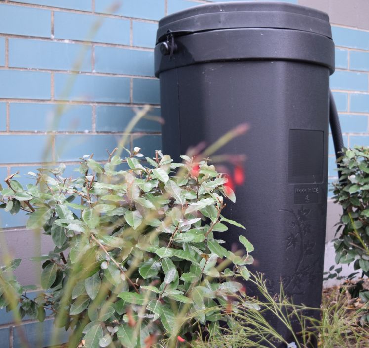 Reminder Rain Barrel Sale is Ongoing City of Corpus Christi