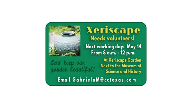 Xeriscape