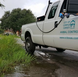 Tentative City Mosquito Spraying Schedule Tentative City Mosquito Spraying Schedule