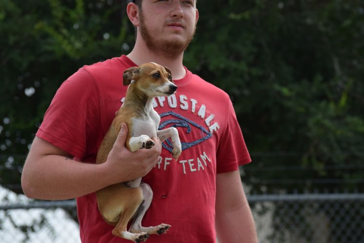 ASPCA Grant to ACS