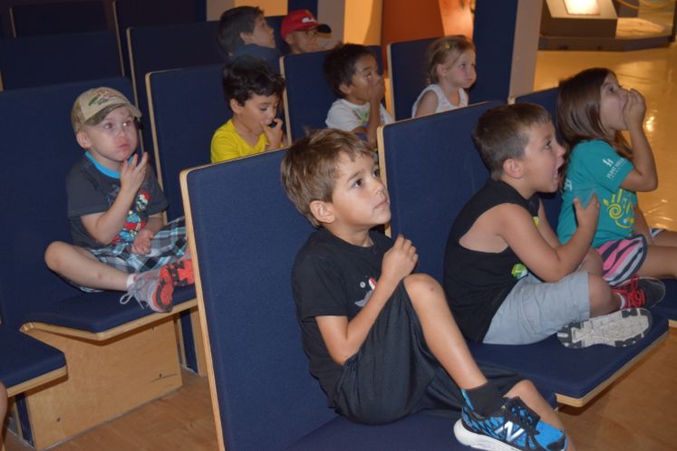 Summer Camp at the Museum