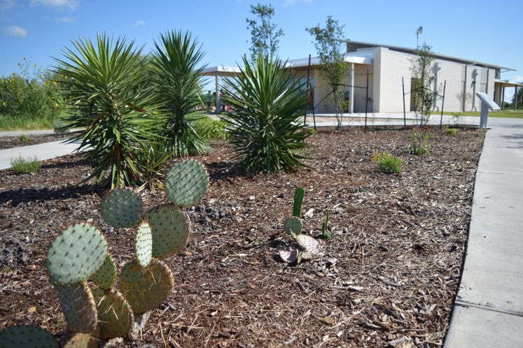 Oso Bay Wetlands Ribbon Cutting