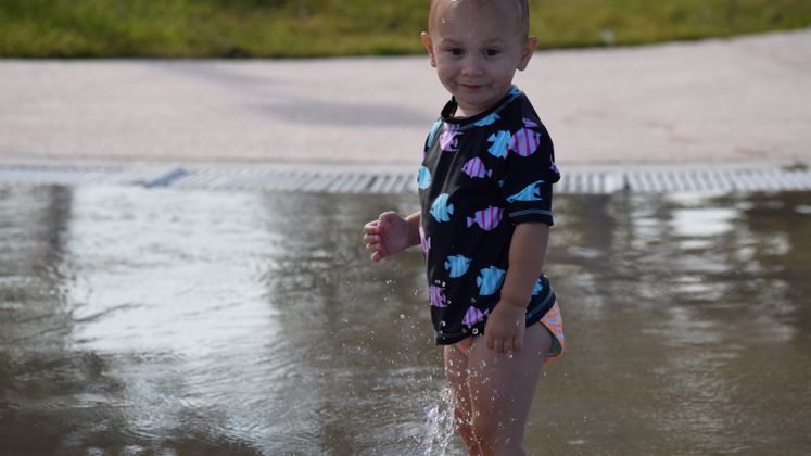 Swimming Safety