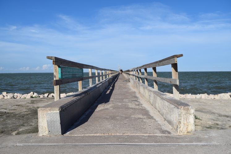 Fishing Pier at Cole Park