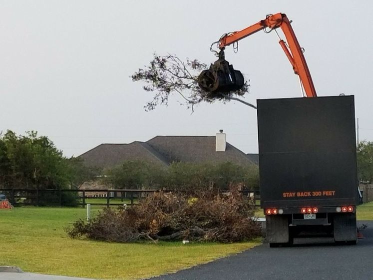 Harvey Debris Pick-Up