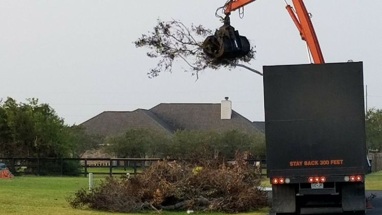 Harvey Debris Pick-Up