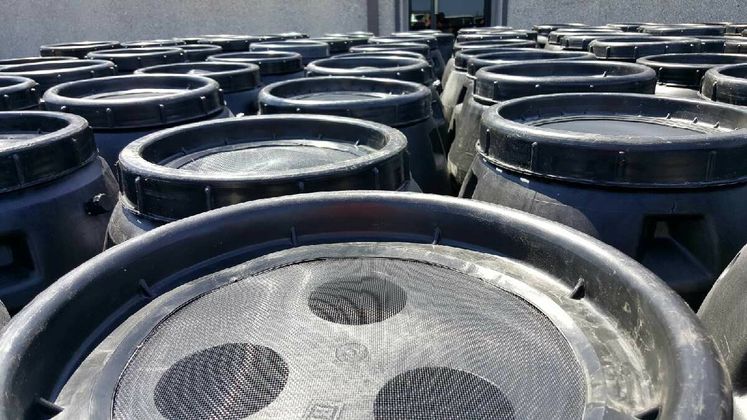 Rain Harvesting, Rain Barrels