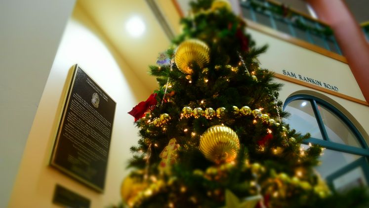 Christmas Tree is Up at City Hall