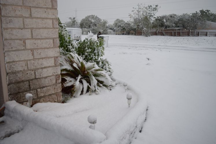 Snow Day 12-08-17