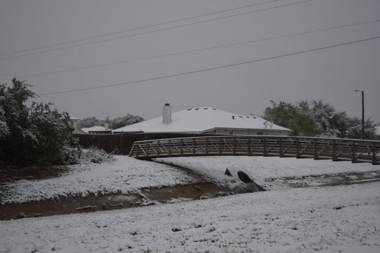 Snow Day 12-08-17