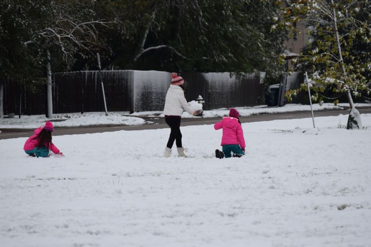 Snow Day 12-08-17