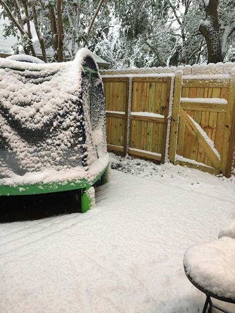 Snow Day