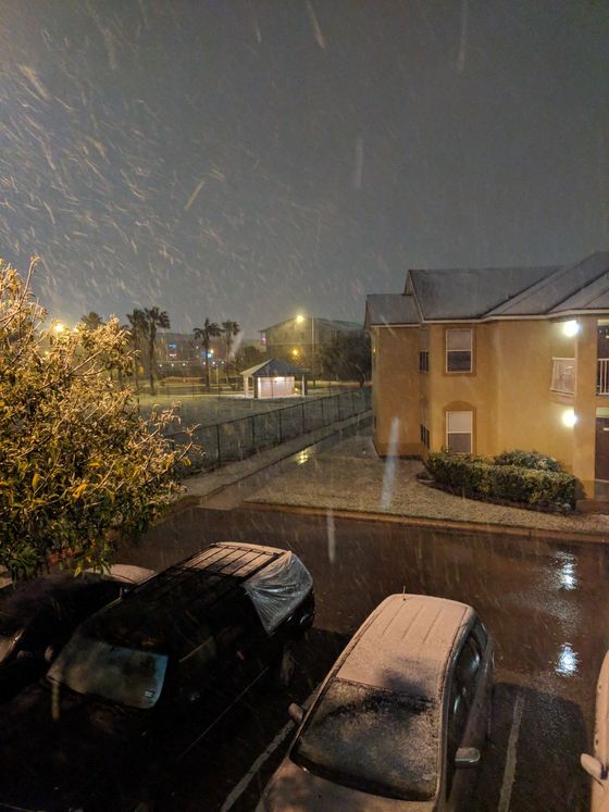 Snow Day