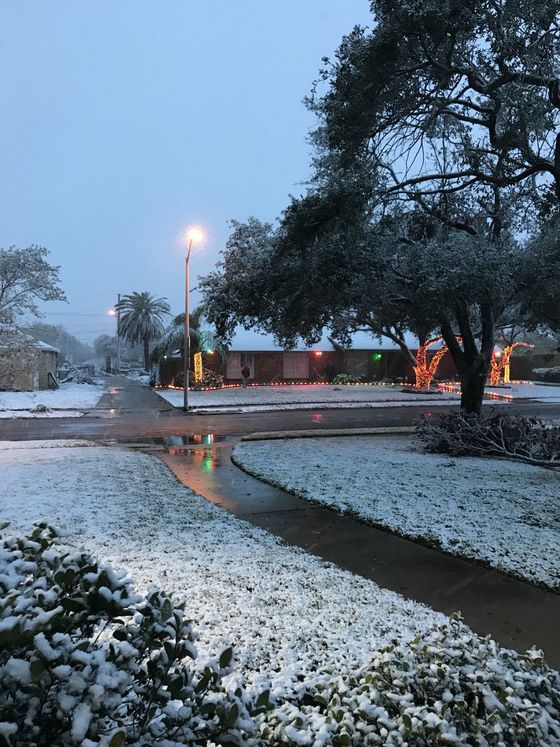 Snow Day