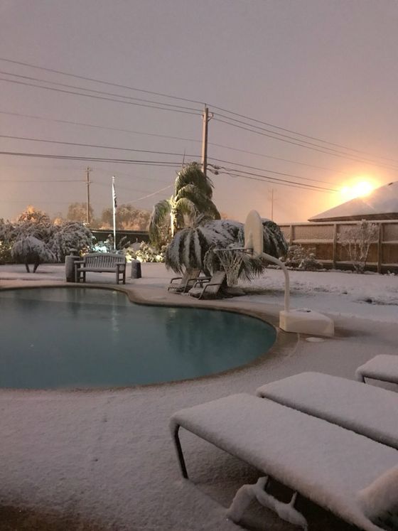 Snow Day
