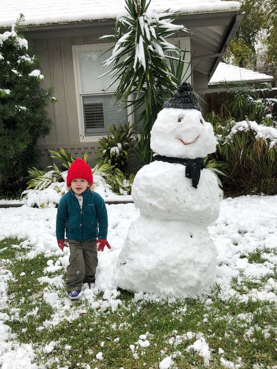 Snow Day