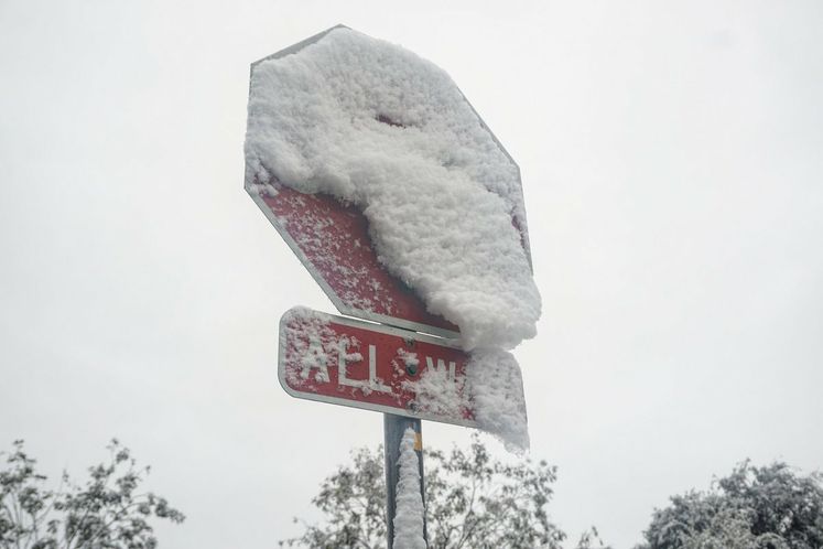 Snow Day