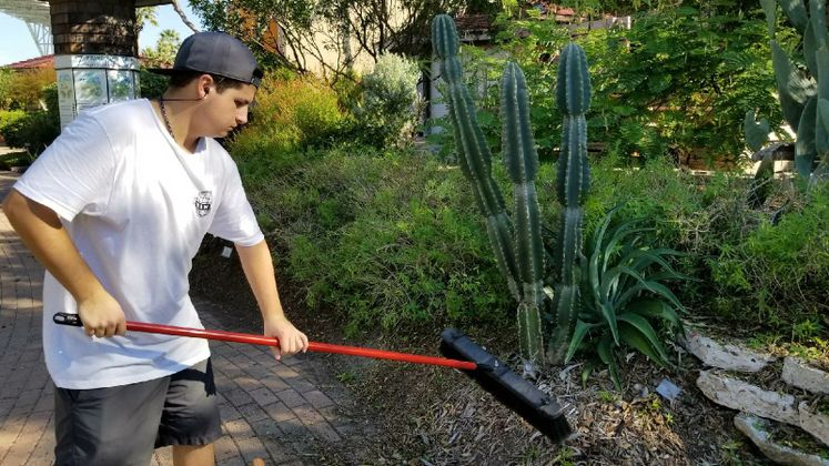 Xeriscape Garden