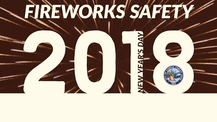 Fireworks Carousel