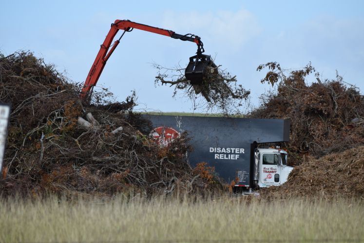 Harvey Debris Collection / October