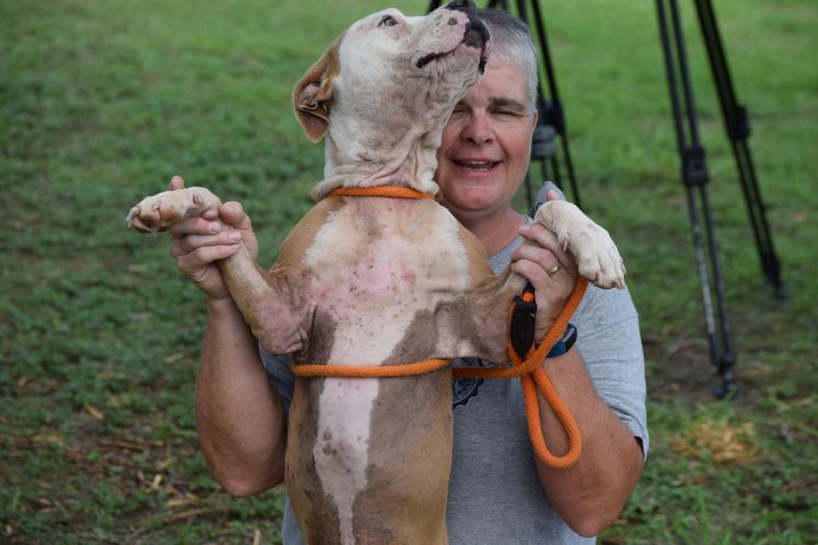 Humane Society Rescues Animals Displaced by Harvey / September