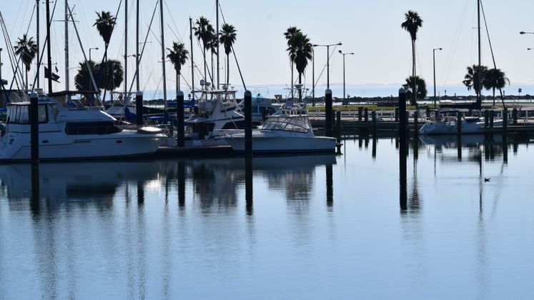 Corpus Christi Marina