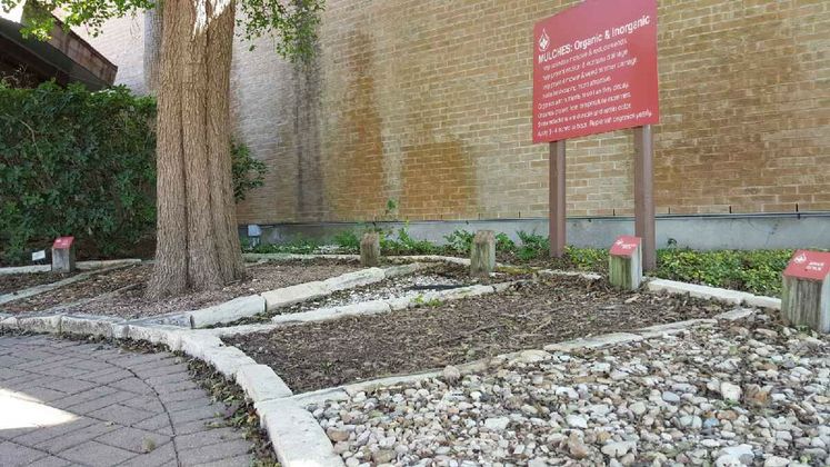 Mulch Exhibit at Xeriscape Garden