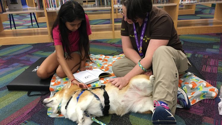 Paws Up Reading Program