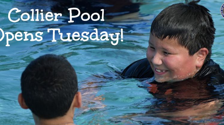Collier Pool Graphic