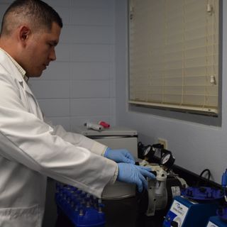 Comunicado de Prensa Laboratorio de ADN mantiene la calidad del agua de la ciudad Comunicado de Prensa Laboratorio de ADN mantiene la calidad del agua de la ciudad