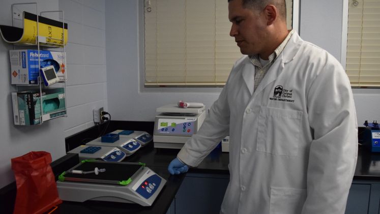 DNA Lab II