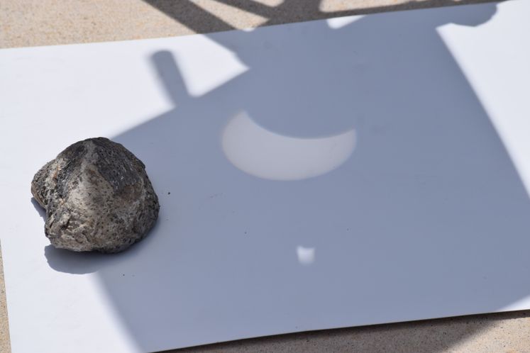 Solar Eclipse at Oso Wetlands Preserve